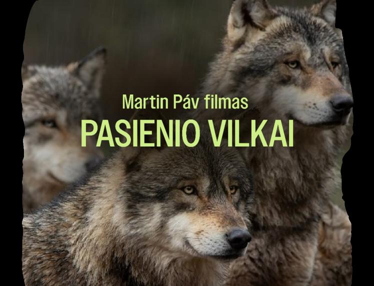Kviečiame į filmo seansą