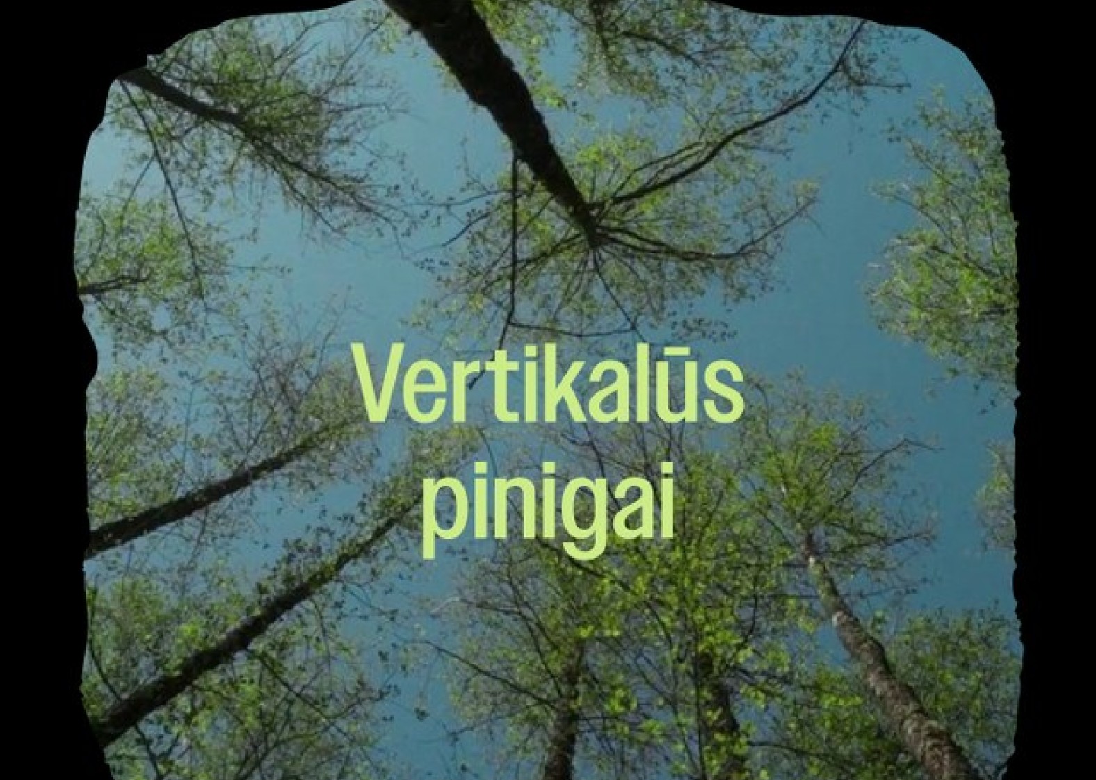 Kino seansas &bdquo;Vertikalūs pinigai&ldquo;