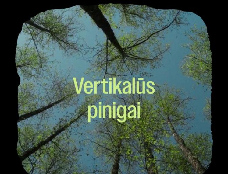 Kino seansas „Vertikalūs pinigai“