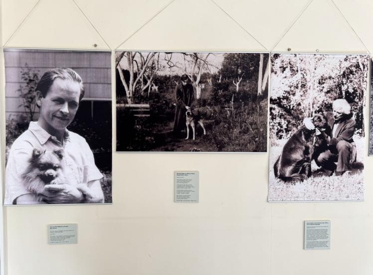 Paroda „Tu ir aš esam vienas: rašytojai ir jų augintiniai“